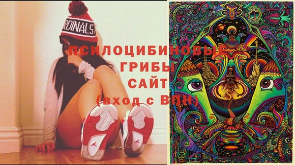 каннабис Бородино
