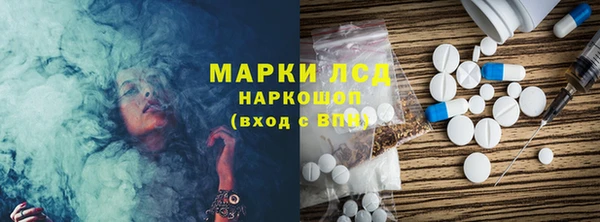 прущие грибы Армянск